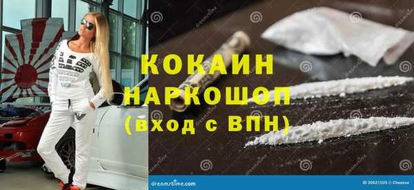стаф Алексин