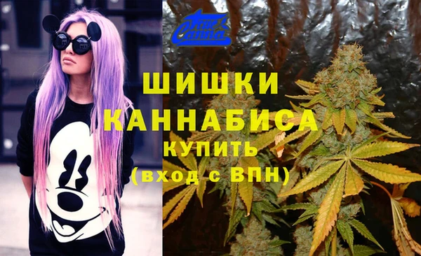 спайс Алзамай