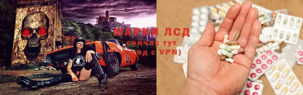 спайс Алзамай